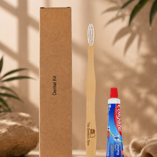 Dental kit